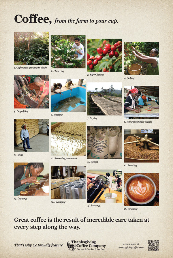 Coffee: from farm to cup – poster designed by Sven Sandberg Studio